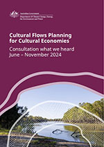 cover of report