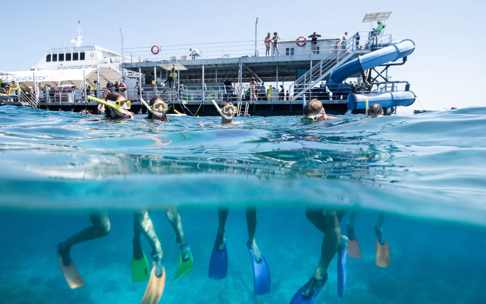 Five people snorkelling with a boat in the background