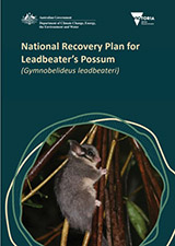 cover of report