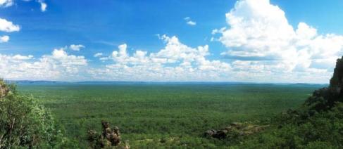 Photograph of a landscape