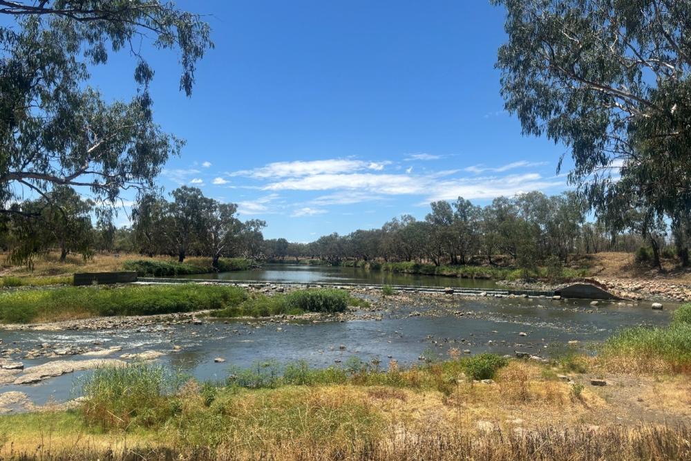 2025-26 Barwon-Darling summer refresh delivery at Brewarrina Weir and fish traps, January 2026. Credit: CEWH 