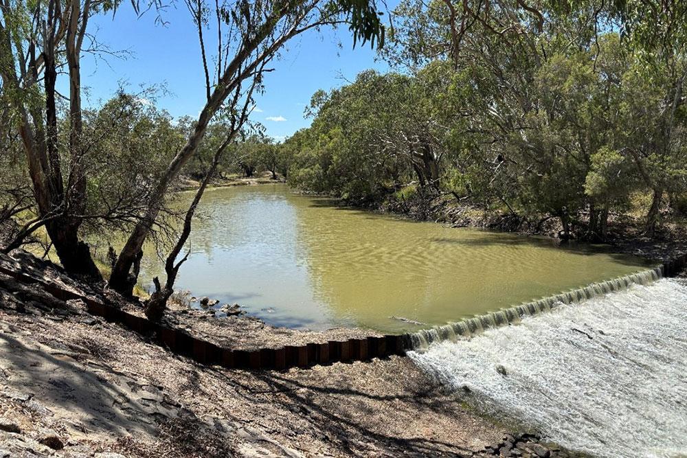 The Mungindi Weir pictured with environmental flow on 19 January 2026.