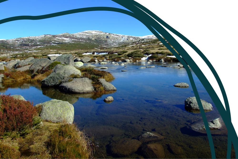 Decorative image - a photograph of a rocky river