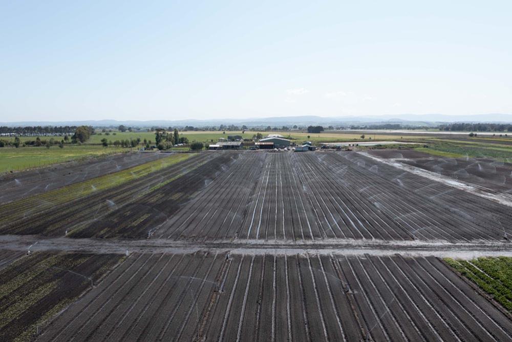 Aerial view of agricultural land in Victoria.