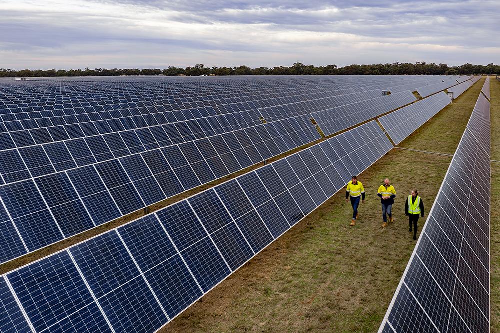 Photograph of 3 people in high-viz clothing walking down a long row of solar panels